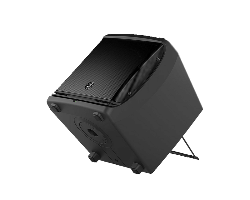 Mackie DLM12
